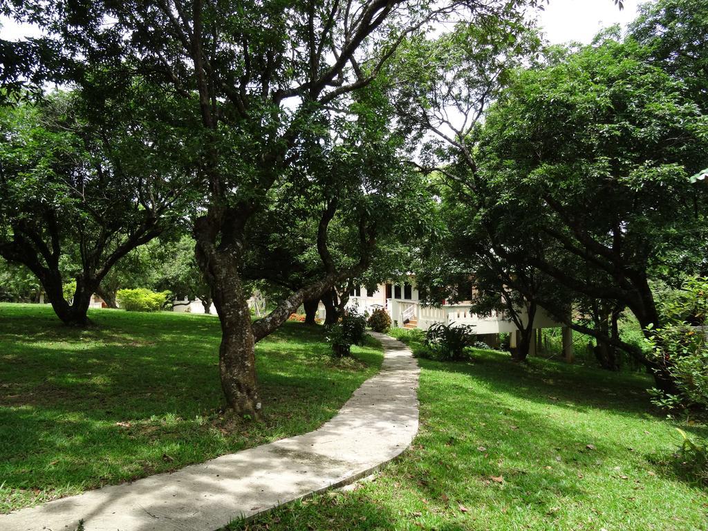 Chang Garden Resort Mae Chan Eksteriør billede