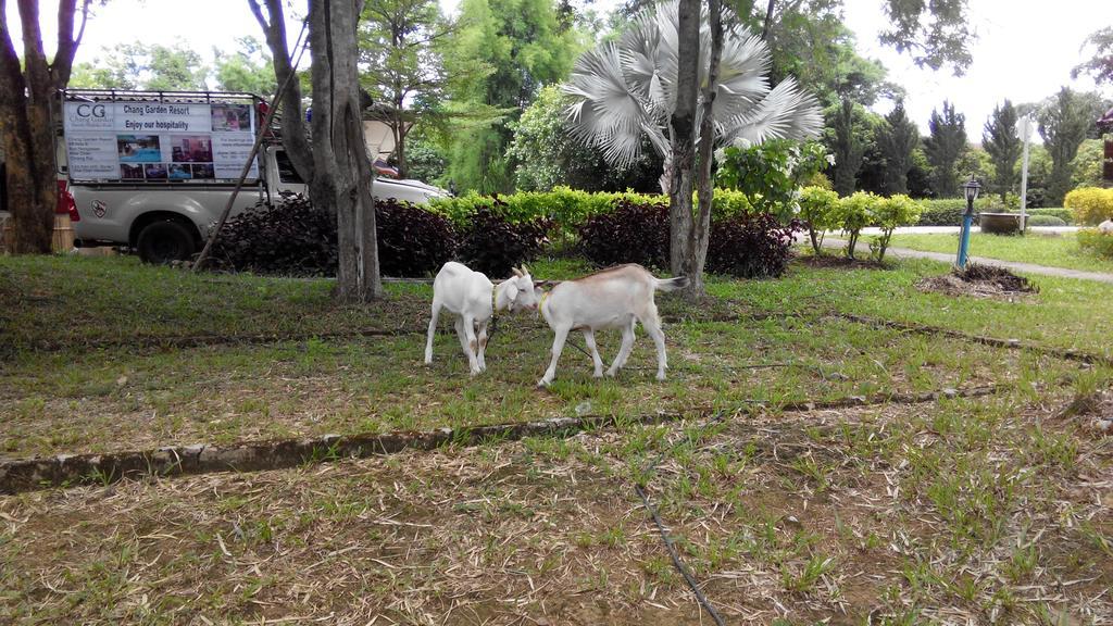 Chang Garden Resort Mae Chan Eksteriør billede